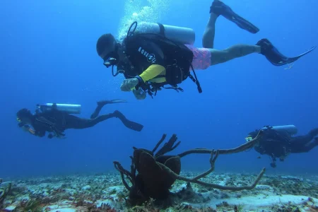 PUERTO MORELOS + COZUMEL