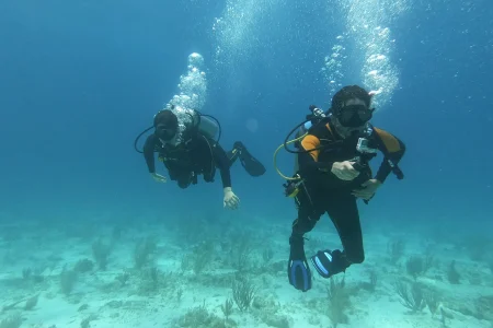 PUERTO MORELOS + CENOTE + COZUMEL