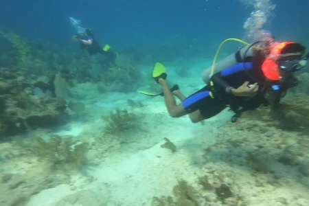 DOUBLE-REEF DIVES IN PUERTO MORELOS