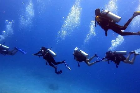 SCUBA DIVER COURSE