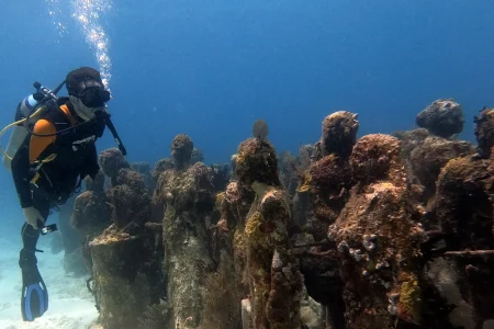 MUSA & ONE REEF DIVE